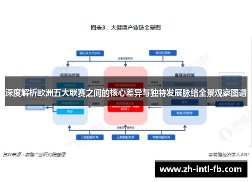 深度解析欧洲五大联赛之间的核心差异与独特发展脉络全景观察图谱